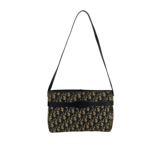 Dior designertas oblique canvas